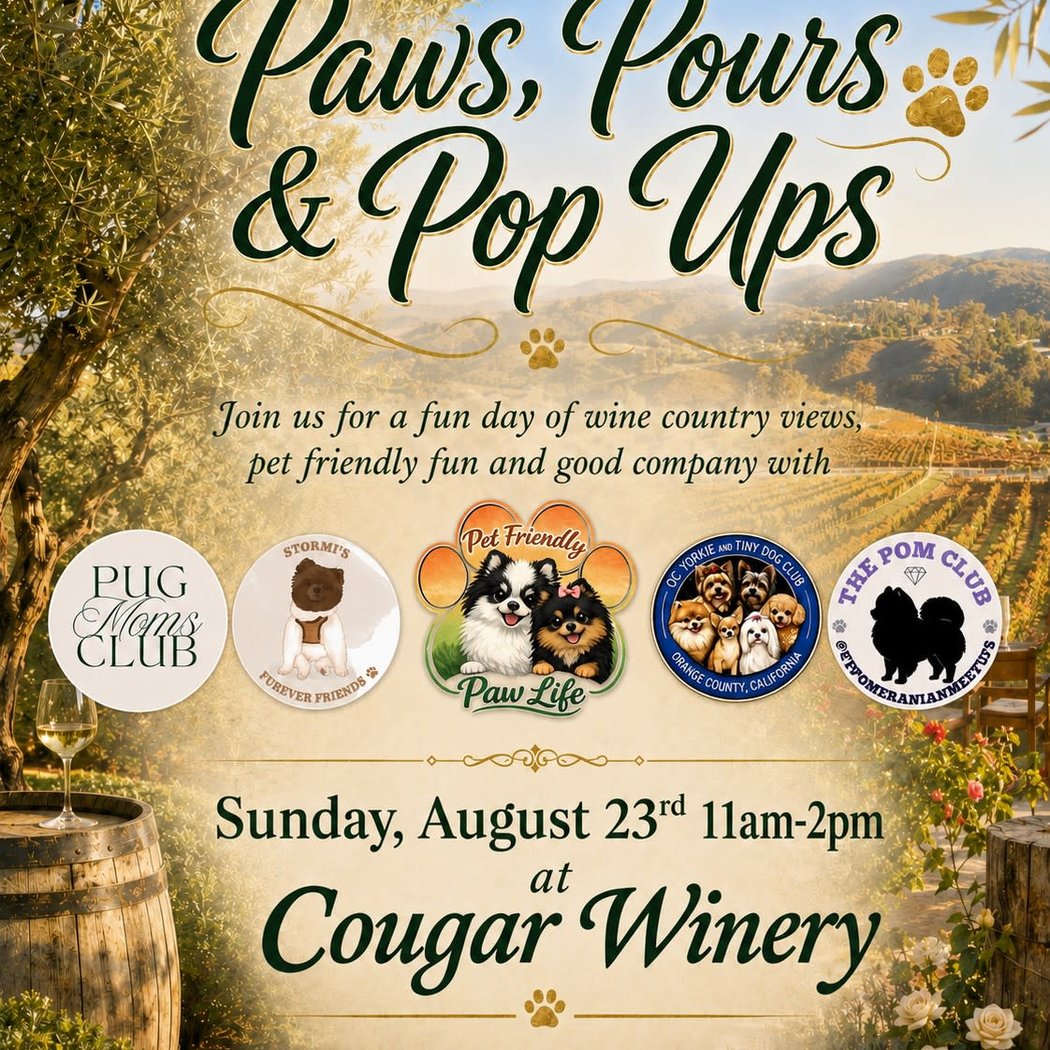 Paws, Pours & Pop Ups 1